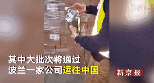 都有哪些毒奶粉,有哪些毒奶粉