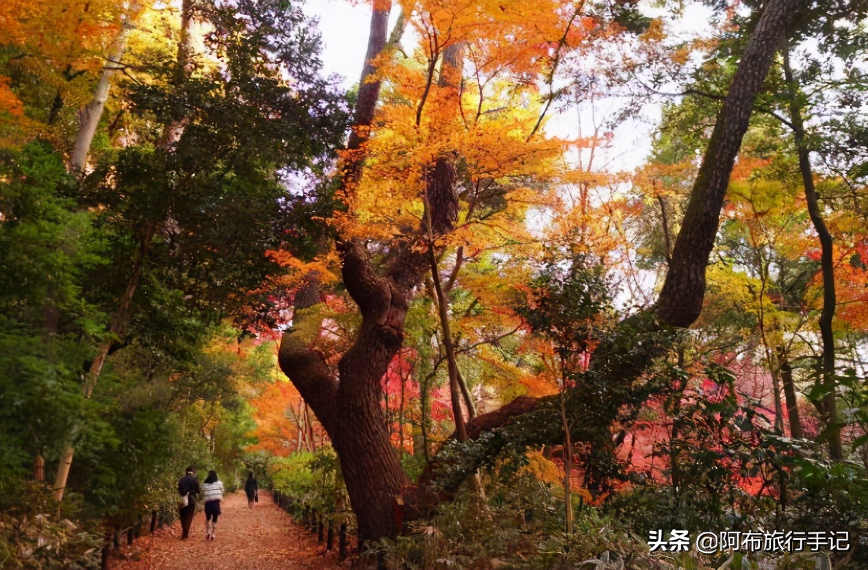 任正非翻牌的目黑雅叙园往东，有一条适合散步的江户大名路线