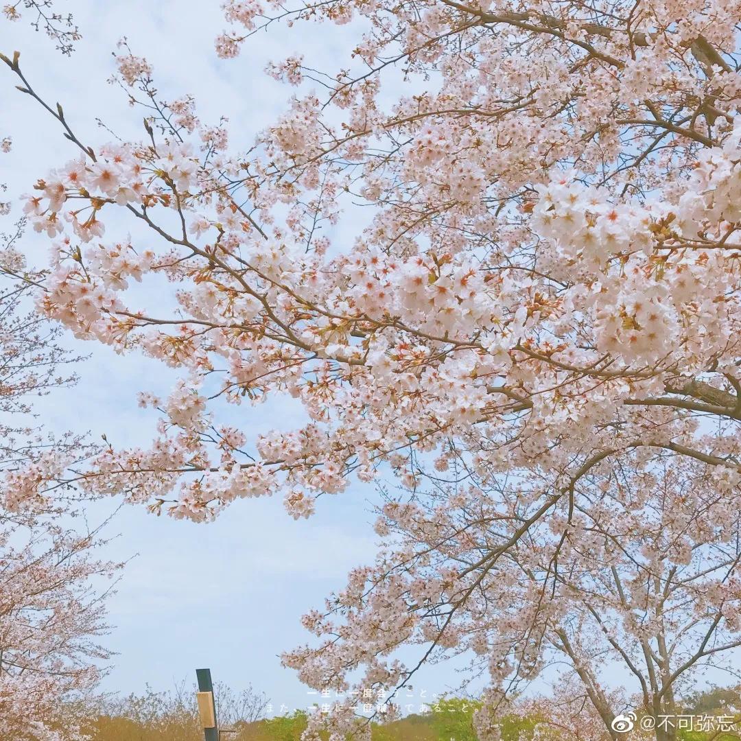 辟谣、吃酱油加深痘印？芦荟胶治好痘坑？别傻了！