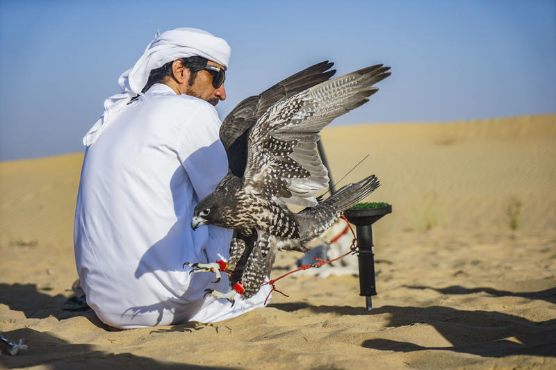 沙漠浪漫之旅迪拜,从天空进入海底