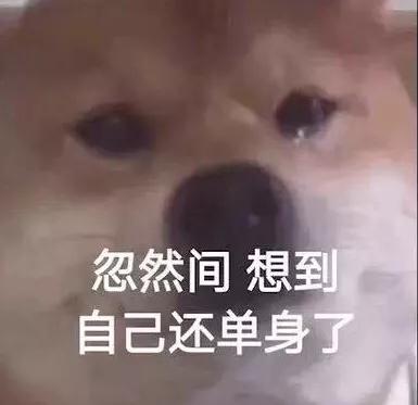 5款好闻到炸裂的香水,5款香水