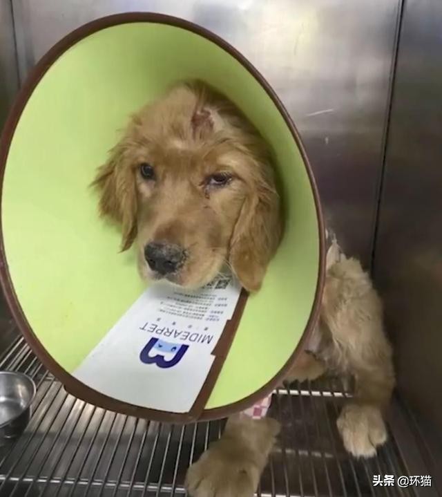 气到发抖对身体有哪些影响,气抖冷梗出处