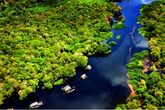 地暖地板木材,地暖地板橡木实木