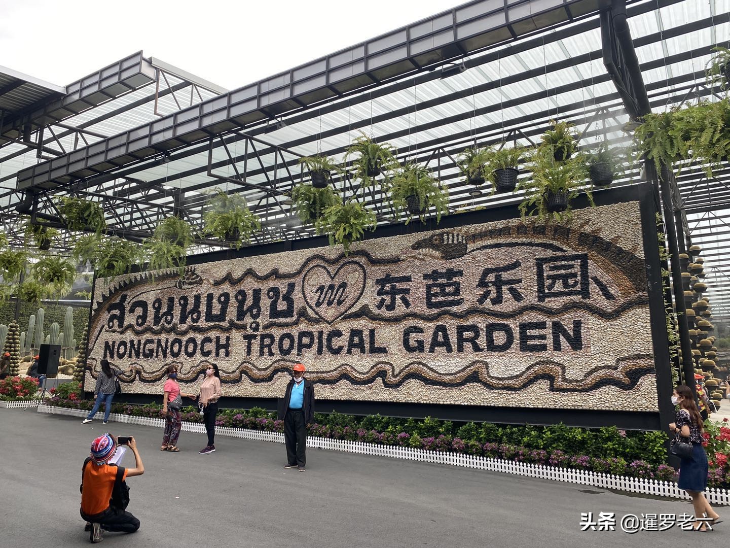 疫情难挡泰国人出游热情，芭堤雅“东芭乐园”依旧火爆