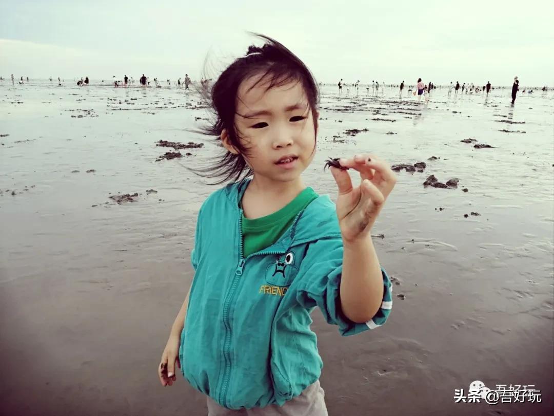 遛娃|南汇新城海滩，魔都夏日必打卡？