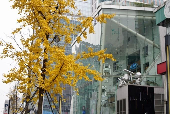 带不走的成都团购,带不走的成都火锅