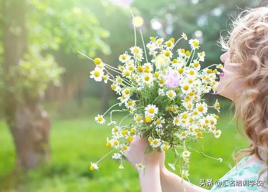 花艺十六种手法,流行花艺简单教学