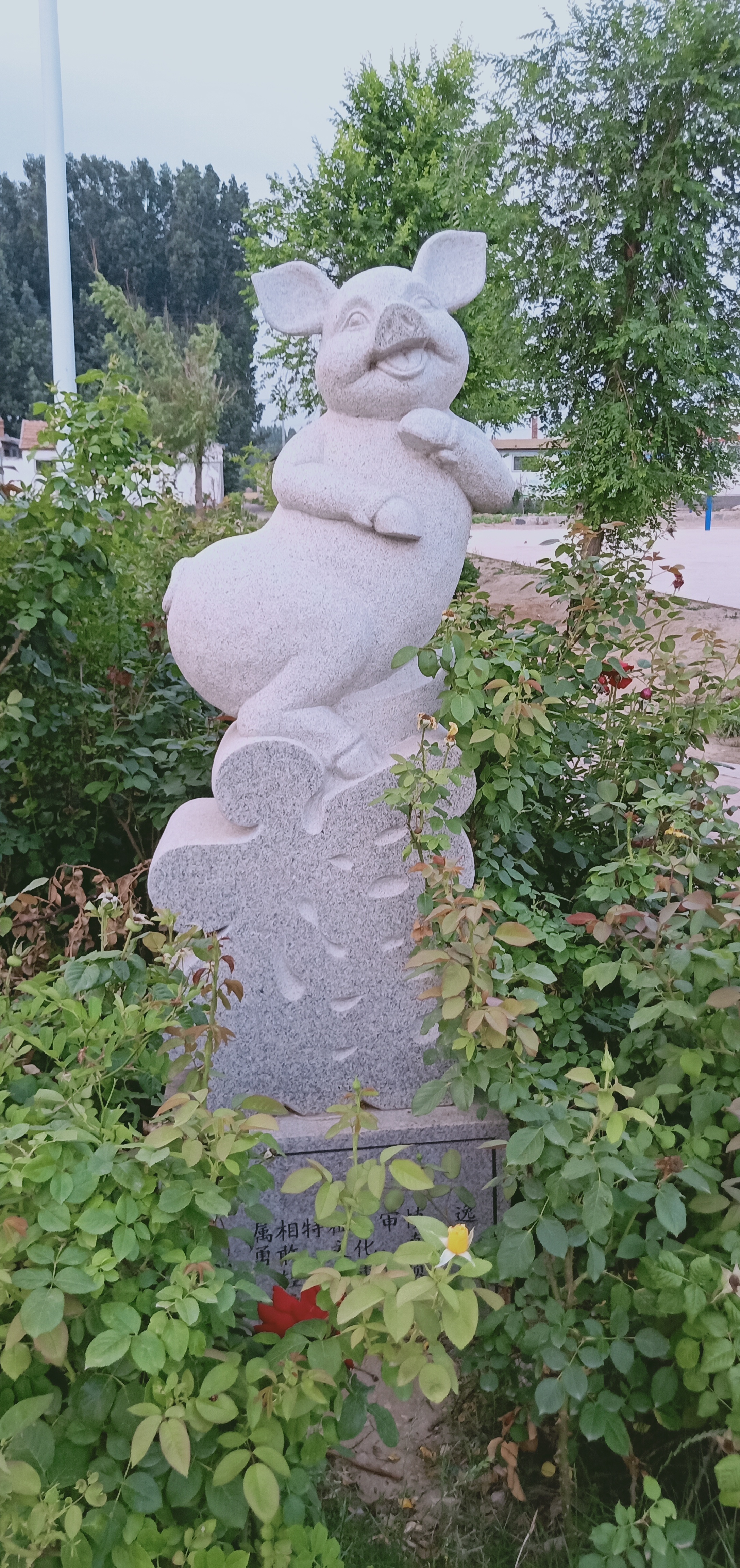 怎么介绍自己的属相给大家听,属相了解一个人