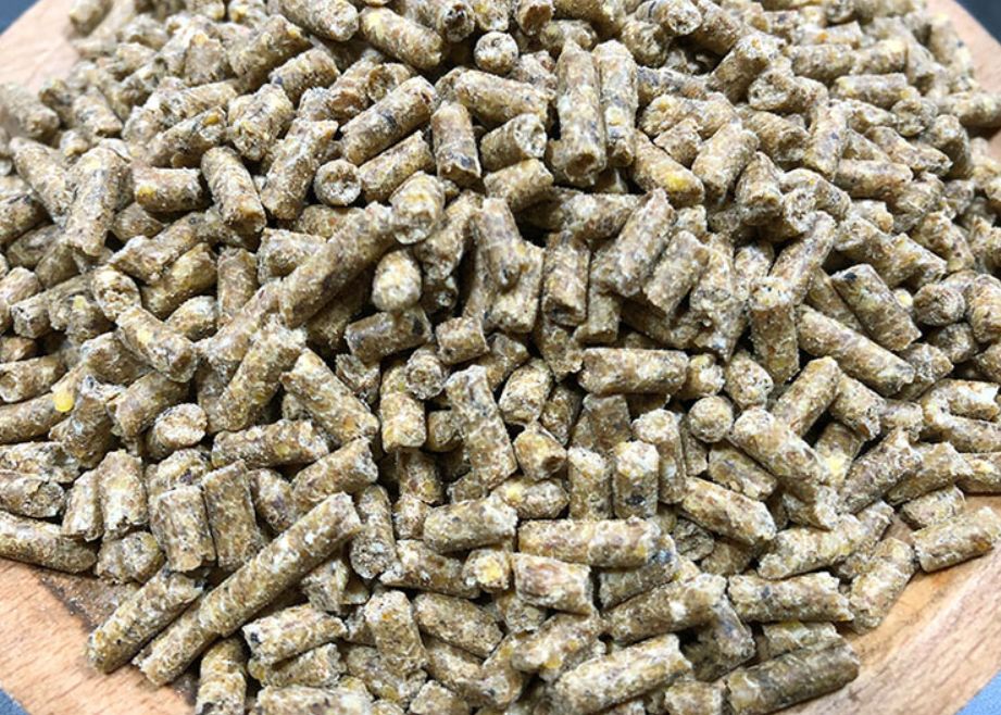 生产颗粒饲料加工需要学习什么,饲料颗粒用什么做成的最好