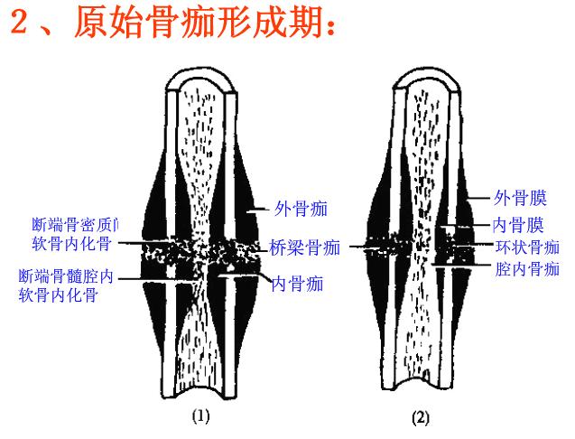 带你了解骨科术后康复,骨科早期康复介入