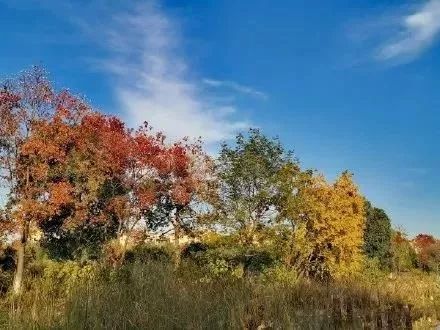 芜湖户外好去处,芜湖十大避暑景点