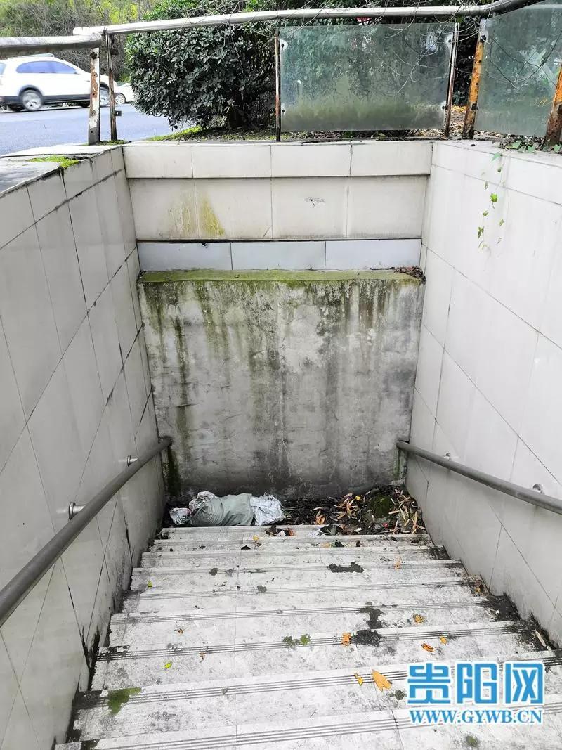 网络问政追踪｜最新进展！贵阳新添立交地下通道设计方案“出炉”