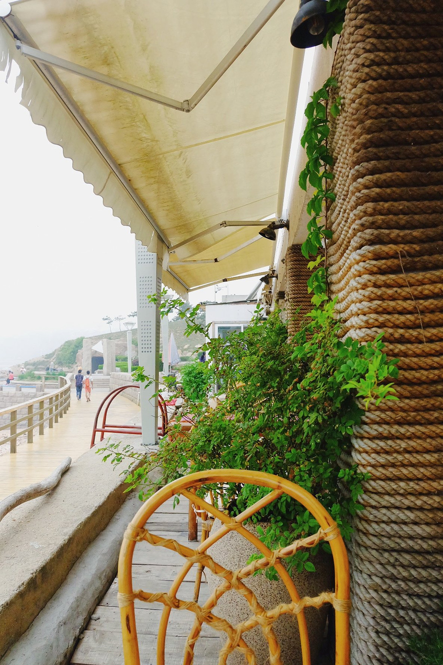 骆驼青岛,骆驼旅行在路上