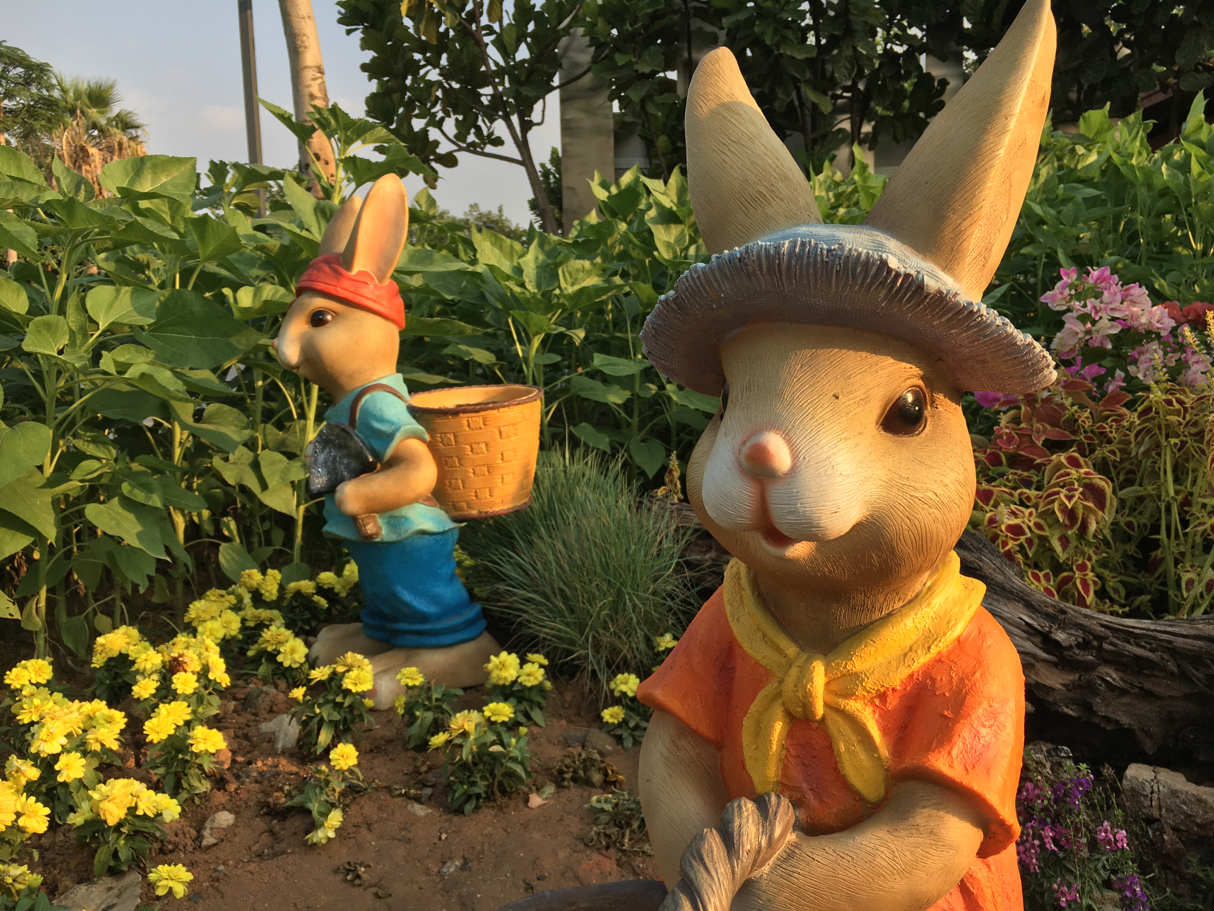 园博园旅行年卡 (旅游年卡 园博园)