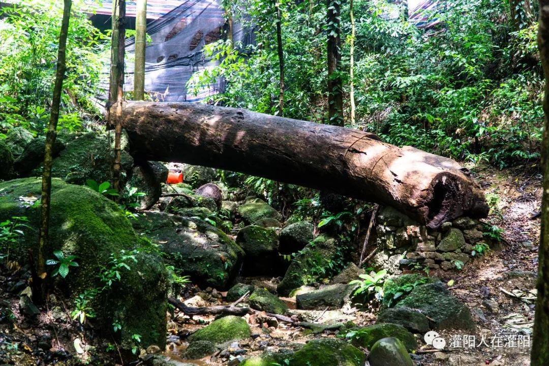 广西桂林灌阳县旅游,灌阳人在柳州