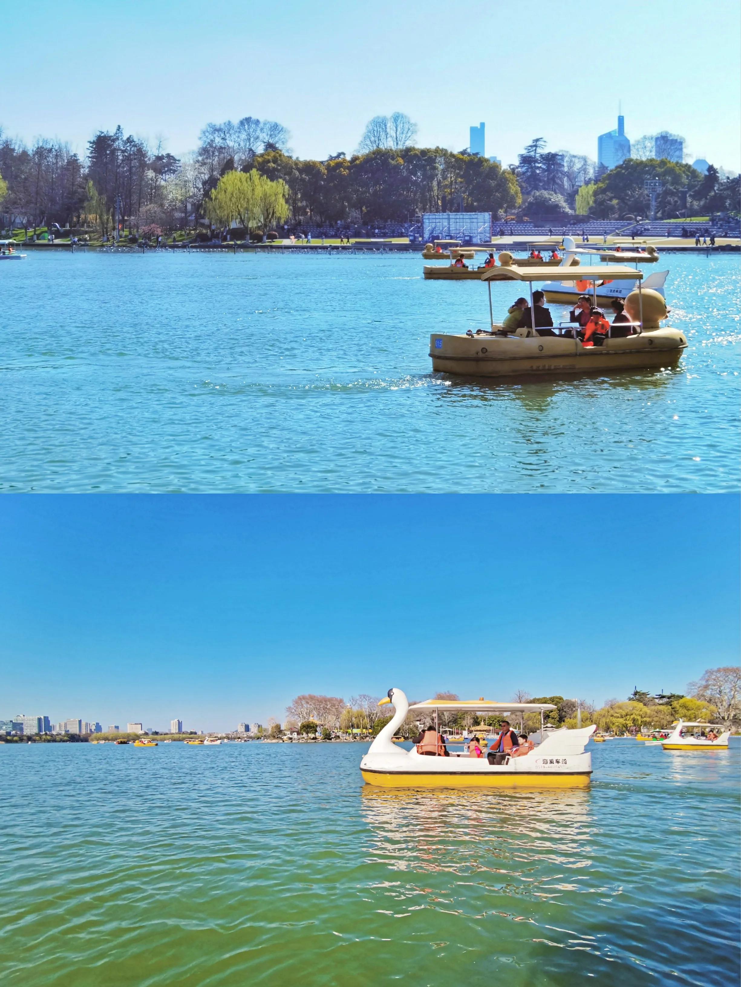 没有人可以拒绝冬天的大理,玄武湖的春天太美了