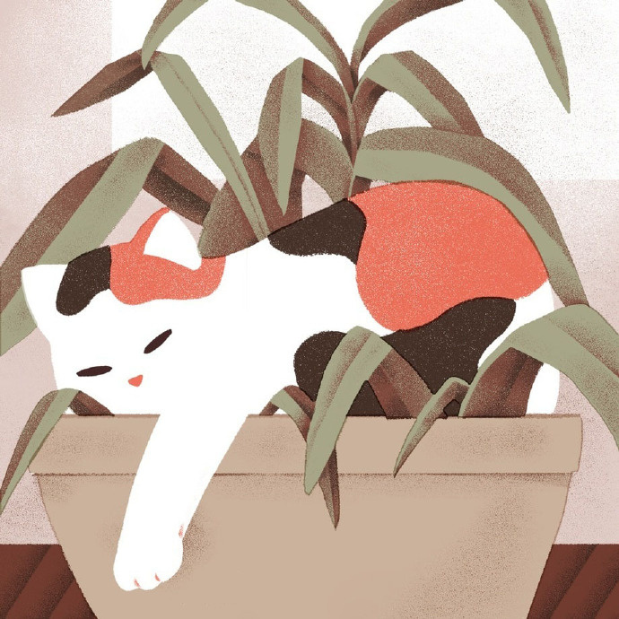 猫咪发情怎么办,教你如何处理猫咪发情