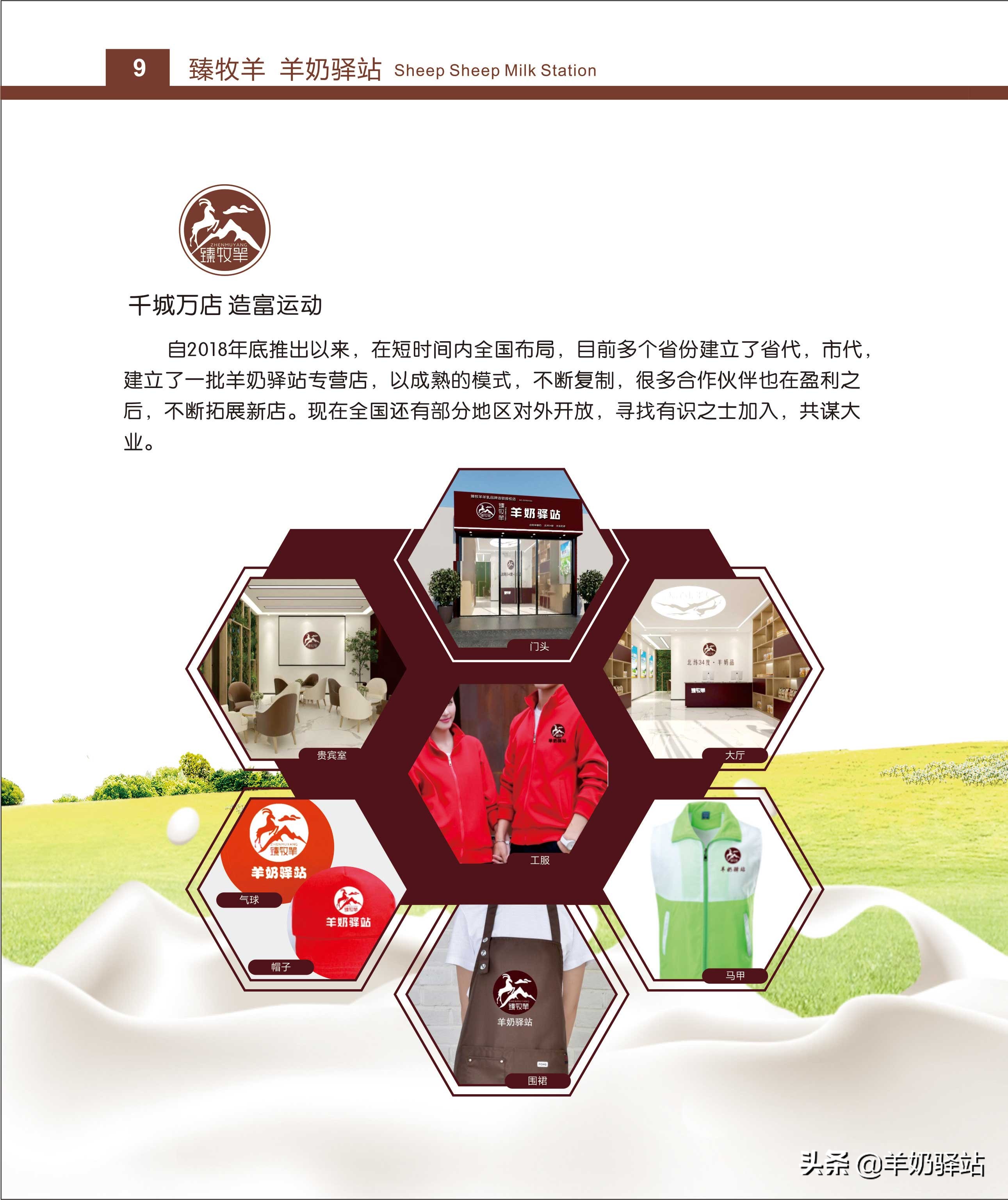 羊奶加盟招商模板,羊奶加盟哪个平台好