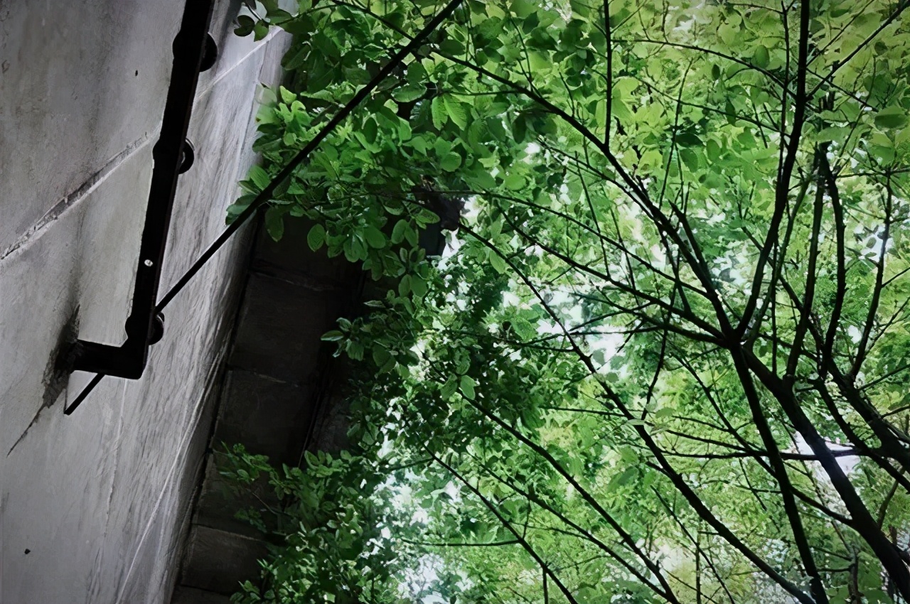 杭州隐居鹅岭投资管理,鹅岭隐居