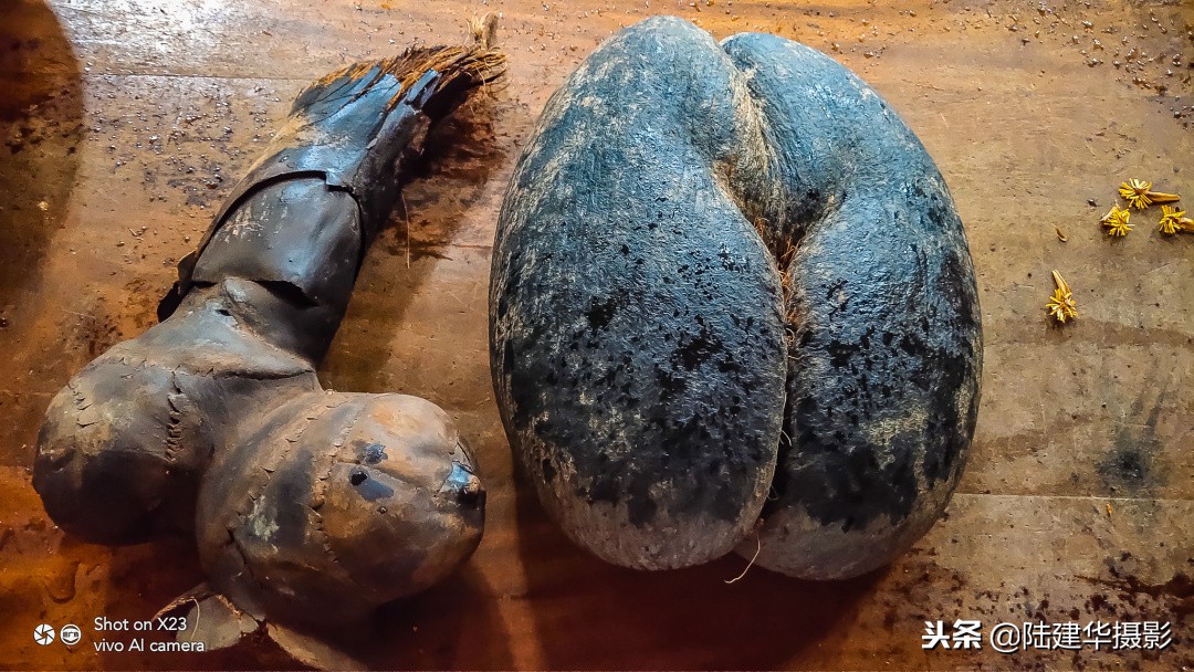 塞舌尔克里奥尔人,人间伊甸园云赏奢华度假地塞舌尔