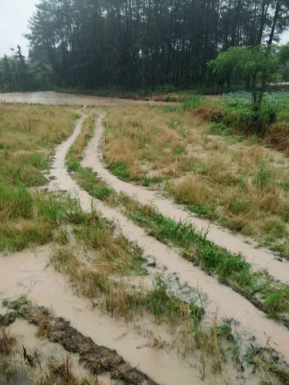 娴峰矝鏈ㄧ瓘婕傛祦,娴峰矝閽撻奔鎺㈤櫓