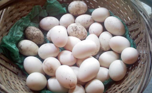 起沙流油的咸鸭蛋美味好吃,怎样腌出流油好吃的咸鸭蛋