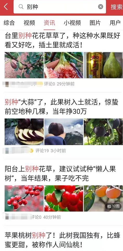 果树苗木销售方案,果树苗产品如何做好营销