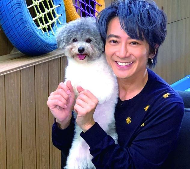 孙耀威陈美诗采访,孙耀威直播陈美诗