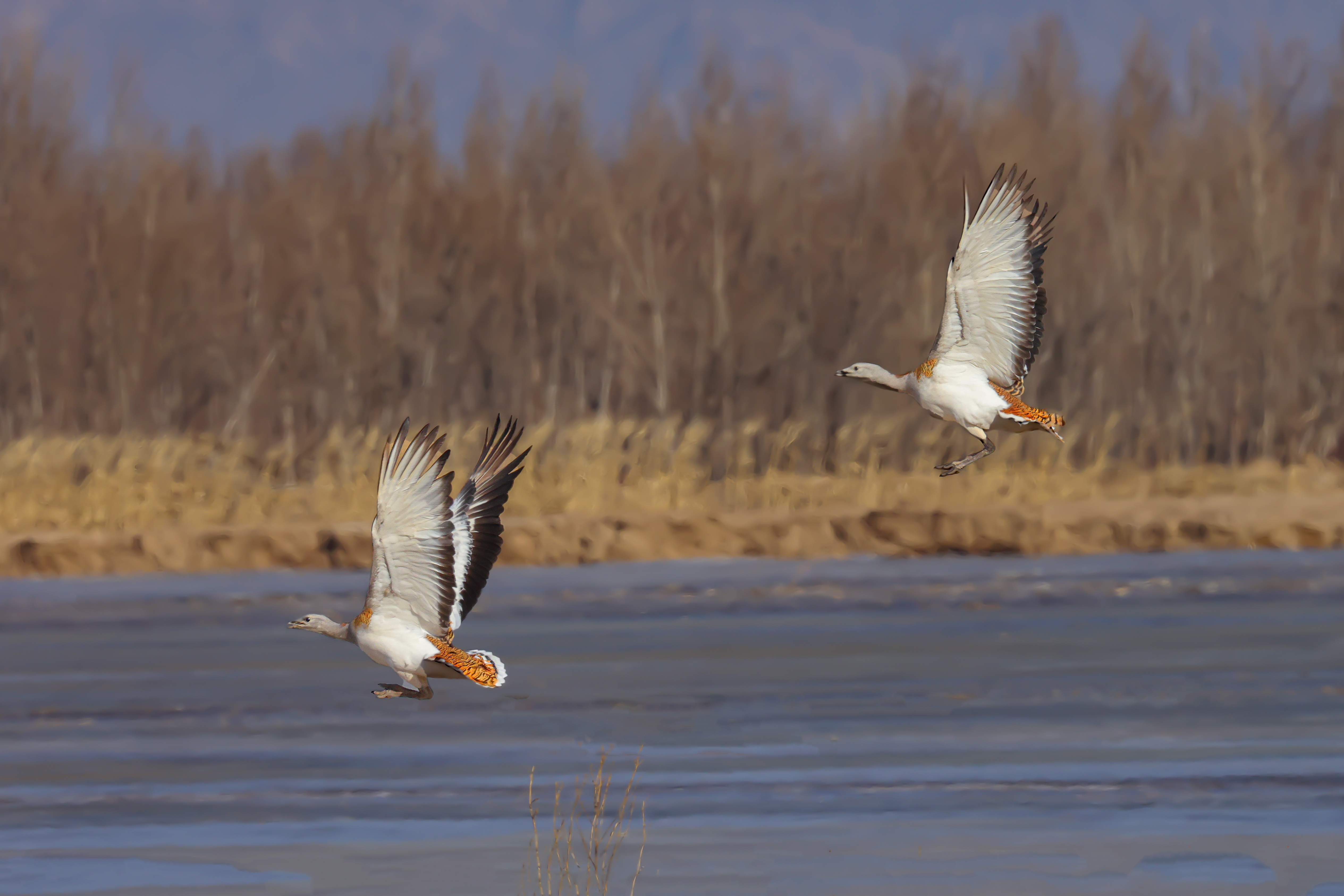 它是2020年中国百强县人均GDP排名第一的县,富得流油却鲜为人知