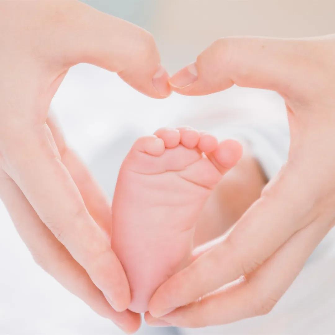 真香小说全文免费阅读,真香小说完整版