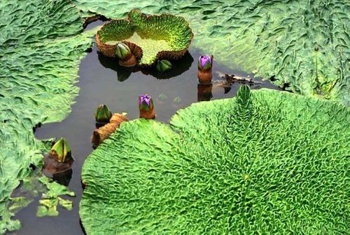 宋朝的词都有哪些,关于宋朝的词有哪些