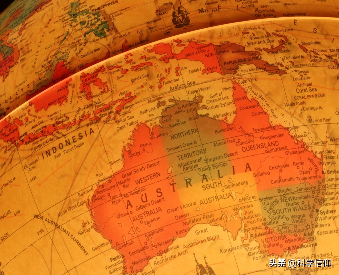 澳洲的动物为什么和其他地方不同,澳洲动物为什么有独特性