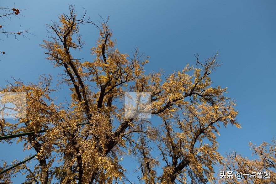 松下16-35f4,松下16-35f4和20-60镜头对比