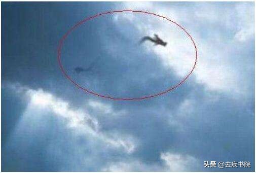 真的有龙吗未解之谜,真的有龙吗怎么回事