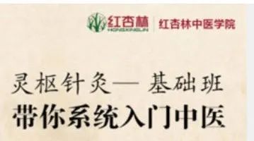 炒菜逆袭,炒菜炒出二十亿营业额