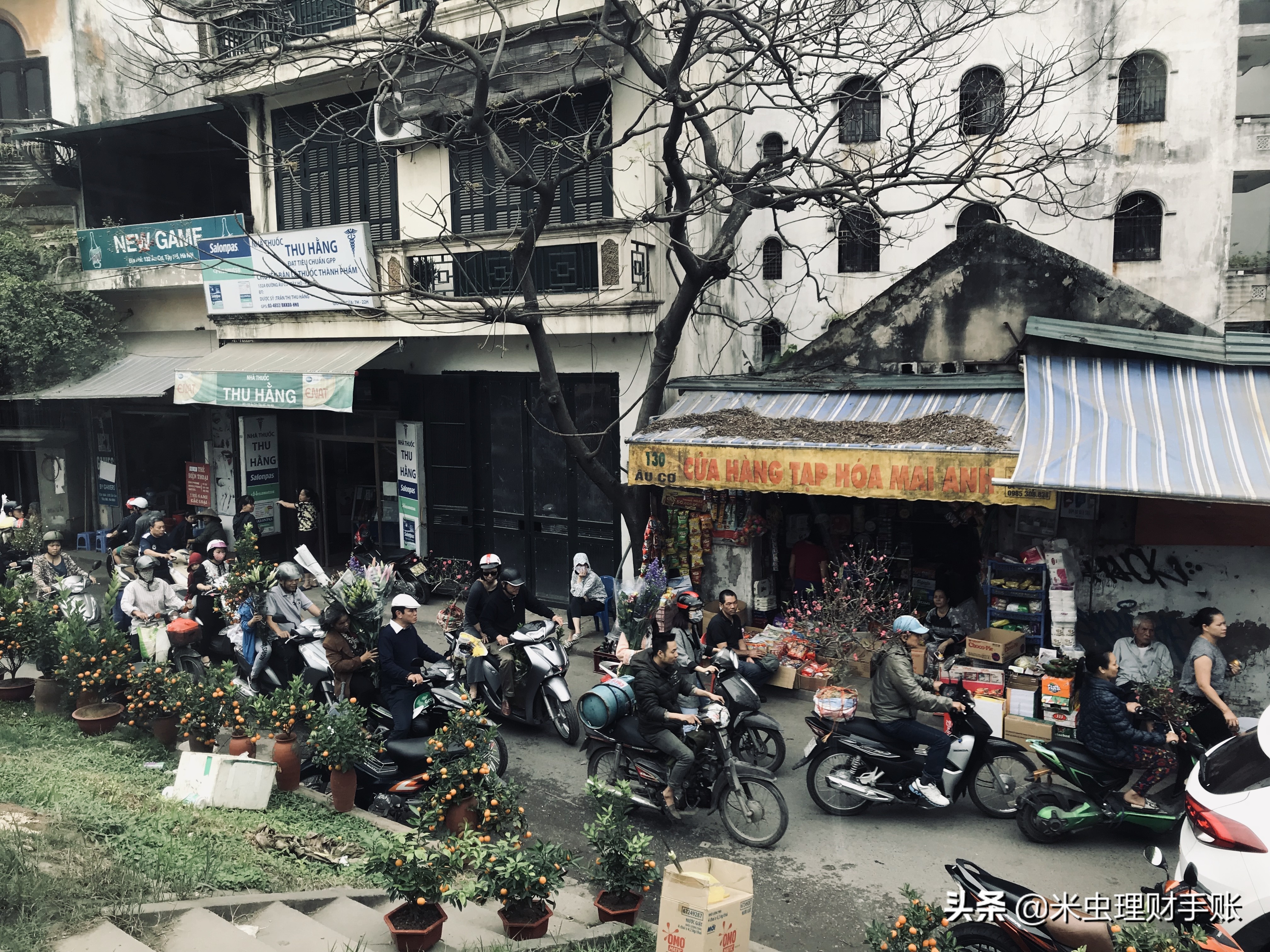 去越南旅游怎样避坑,去越南有什么坑