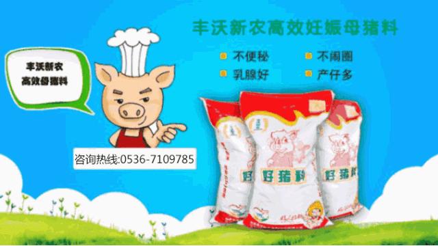 11月16号毛猪价格,6月18日毛猪价格行情