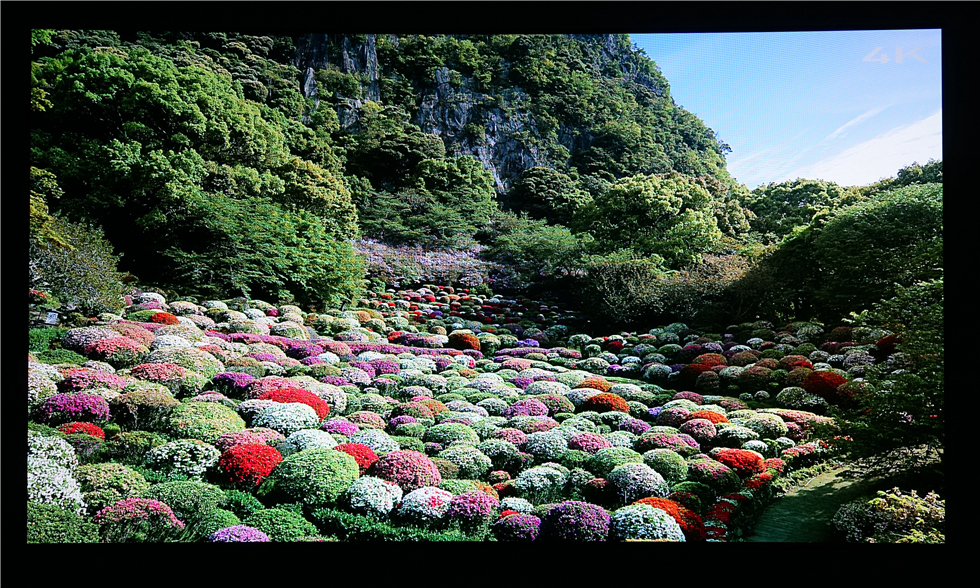 七千字！威动V20、艾美影库MS-300Pro、芝杜Z10高清*放播**器横评2