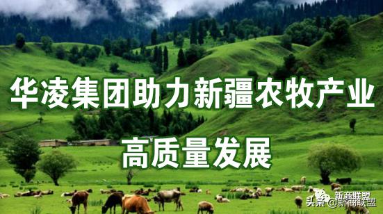 新疆华凌农牧科技开发有限公司,华凌农牧业