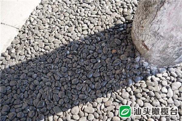 惠民福利棒棒哒！金砂东路（嵩山路—天山路）环境品质提升改造率先完成