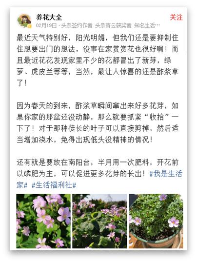 如何花200获得1w粉丝,养花种草怎么涨粉