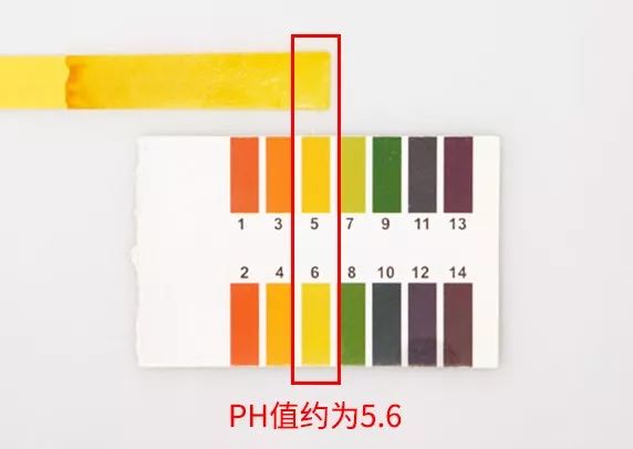 广末凉子年轻时短发,18岁的广末凉子图片