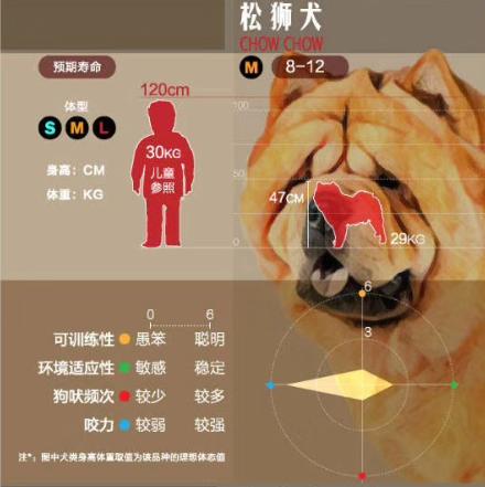 狗狗大讲堂,狗狗们上课去学校