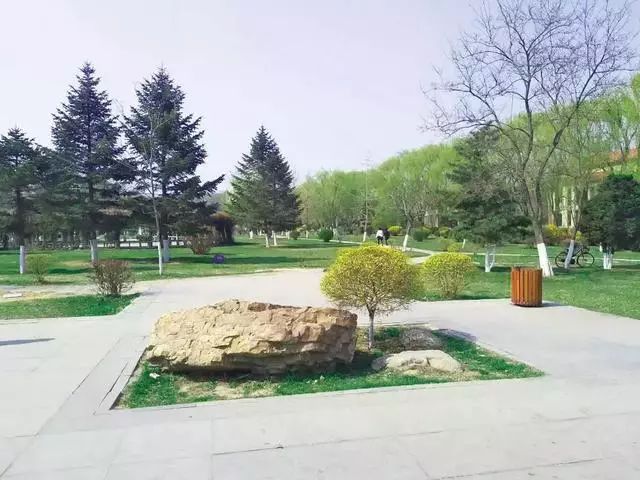 双核驱动战略,双核驱动发展