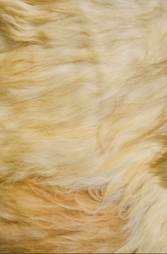 3d床垫值不值得购买,3d床垫价格怎么差这么多