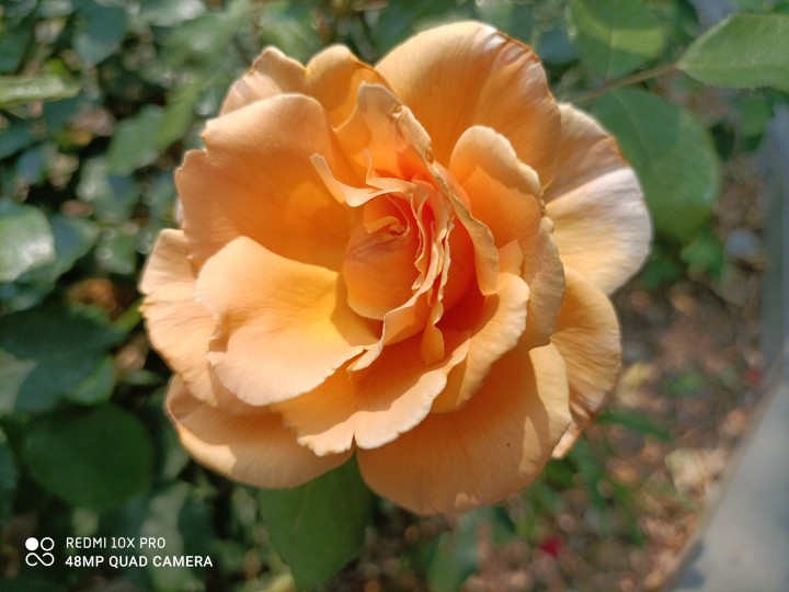 redmi10xpro测评,redmi10xpro深度测评