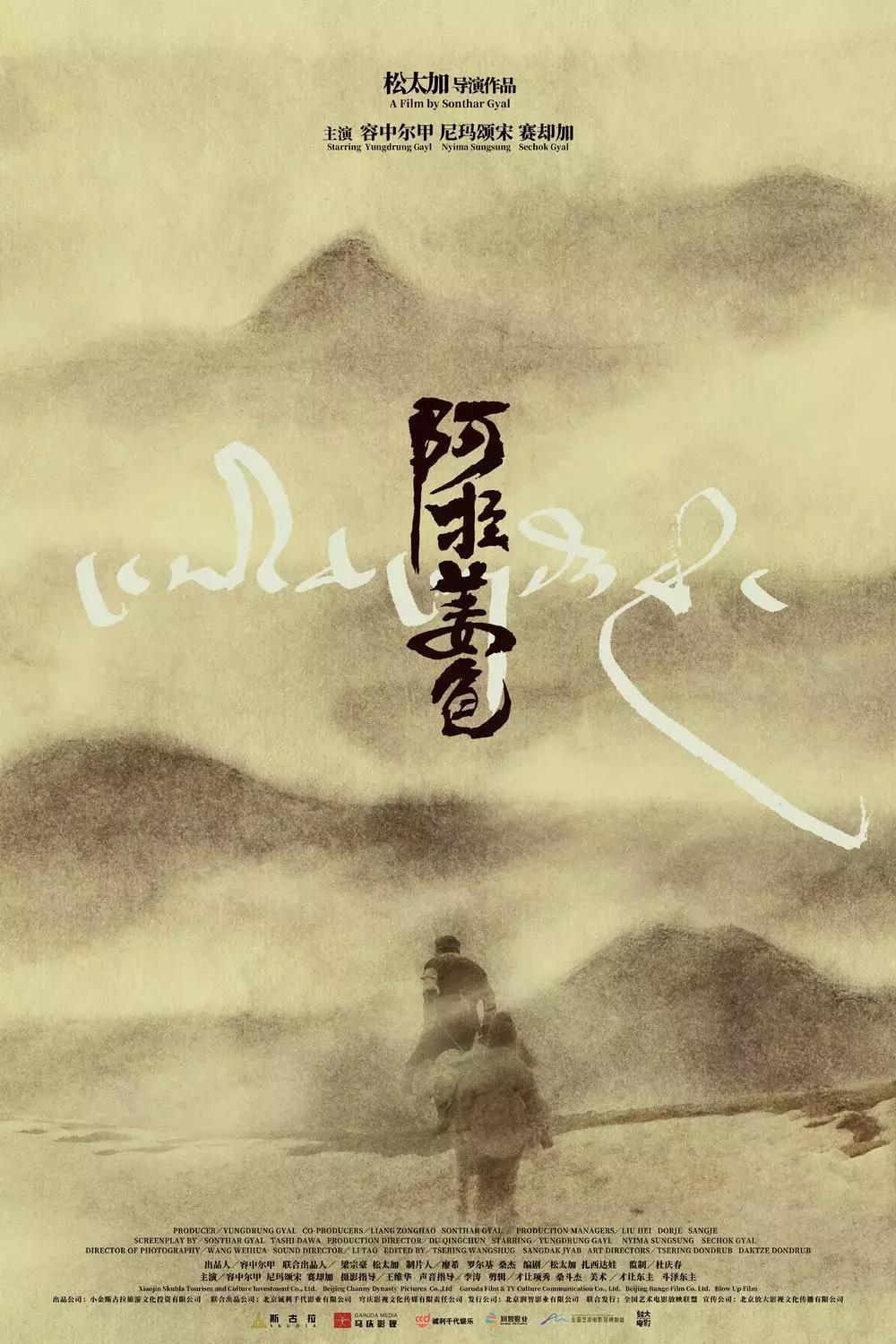 两个金巴其实是一个金巴|撞死了一只羊