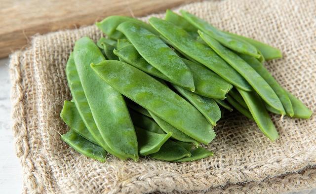 荷兰豆种植方法需要掐尖打叉吗,荷兰豆是怎样的