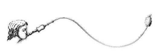 草烟的危害大还是纸烟危害大,烟草的危害