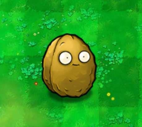 植物大战僵尸十年后再次爆火,植物大战僵尸给大家带来的回忆